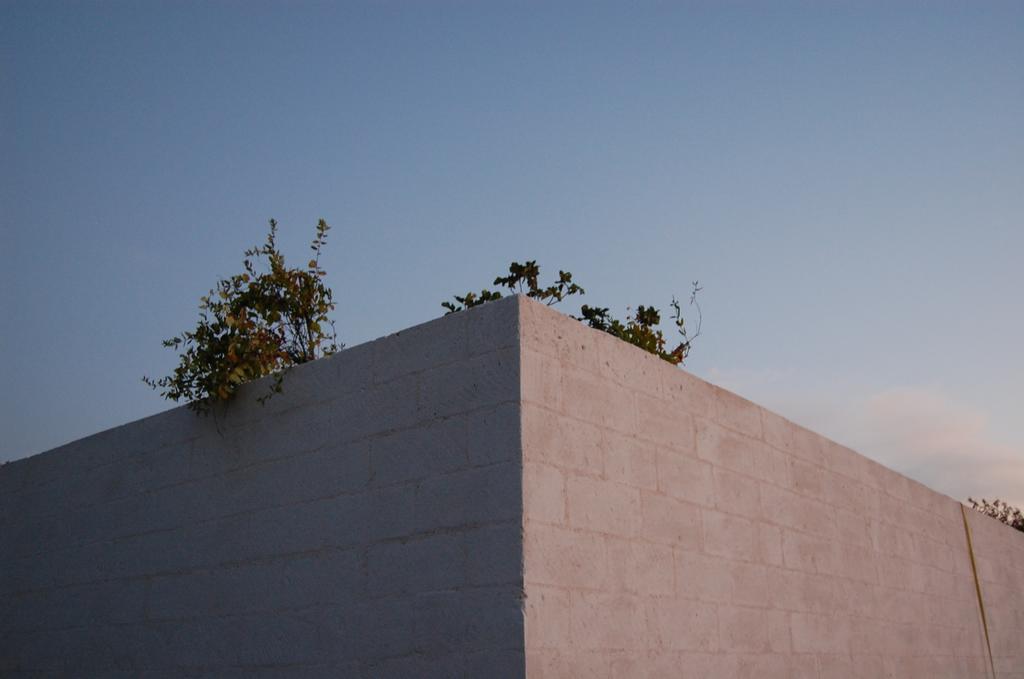 Calcebianca Acomodação com café da manhã Ostuni Exterior foto
